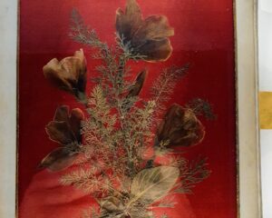 Kartka z albumu florystycznego Elizy Orzeszkowej. Na czerwonym tle wyklejony z zasuszonych kwiatów bukiet.